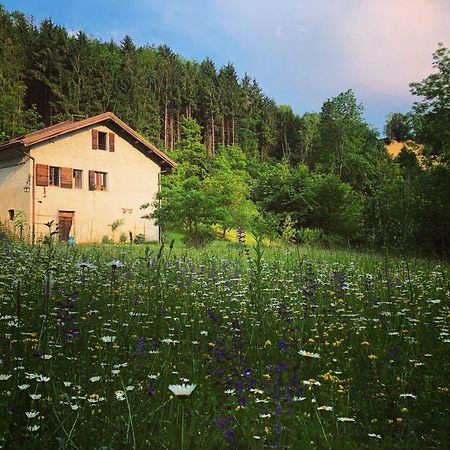 Alla Casetta B&B Cesiomaggiore Eksteriør bilde