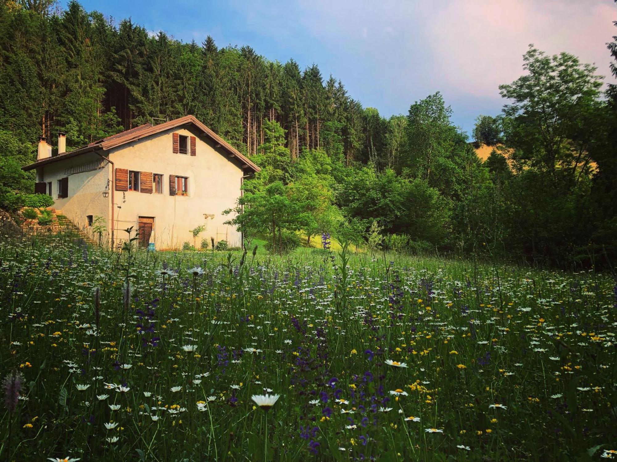 Alla Casetta B&B Cesiomaggiore Eksteriør bilde